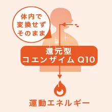 コエンザイムQ10のイメージ