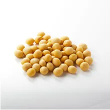 大豆ソイポリア