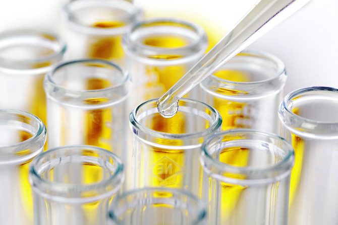 コラムイメージ写真