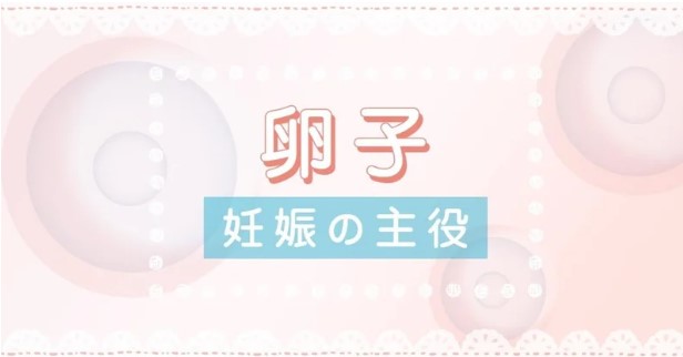 コラムイメージ写真