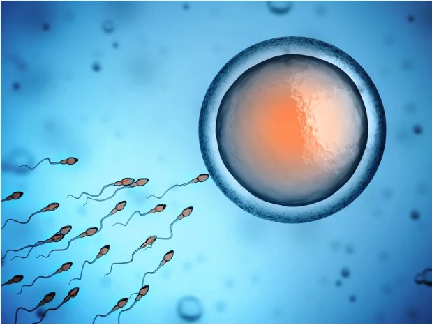 コラムイメージ写真