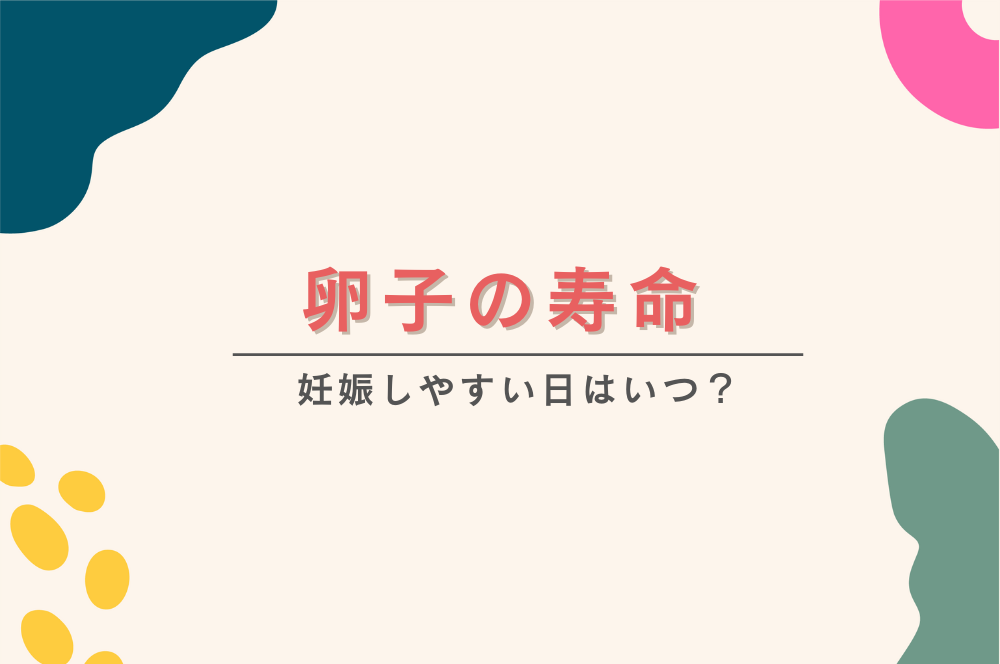 コラムイメージ写真