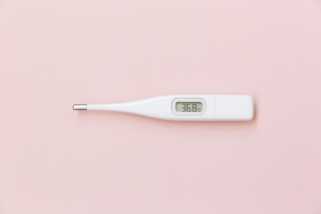 コラムイメージ写真