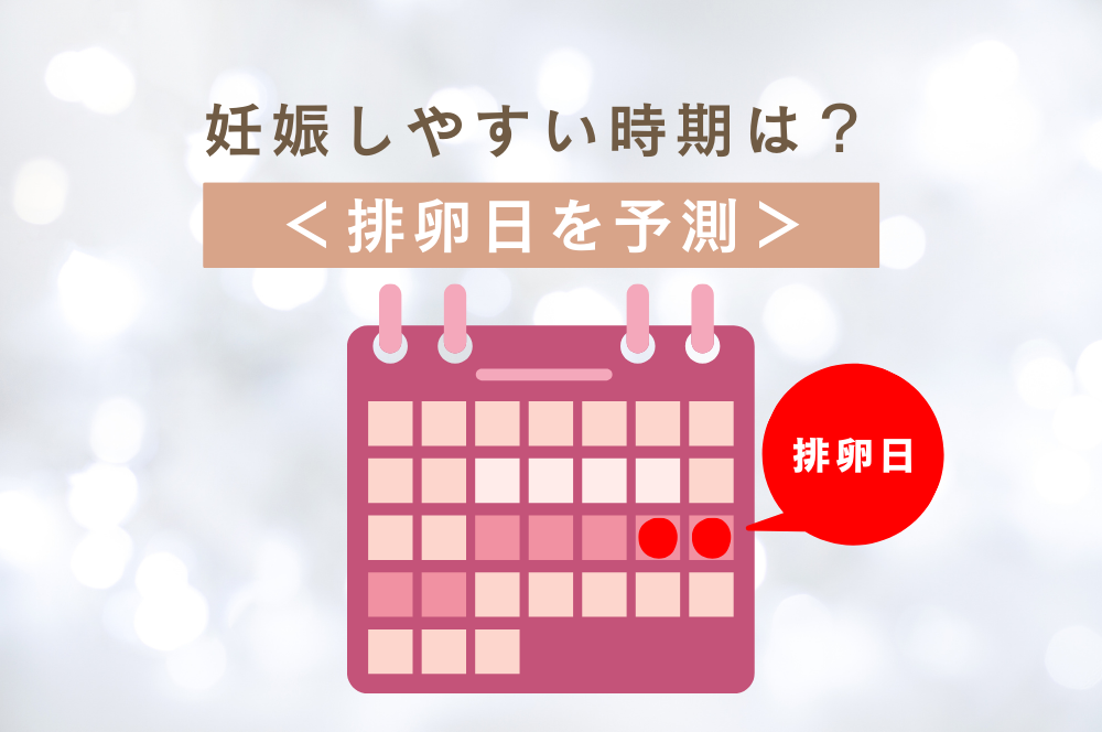 【医師監修】一番妊娠しやすい時期を知る方法：生理後何日？排卵日の予測と体の変化